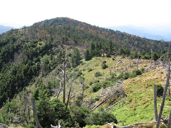 Kii Mountains 4