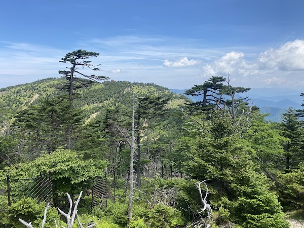 Kii Mountains 3