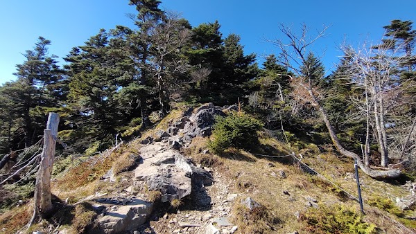 Kii Mountains 2