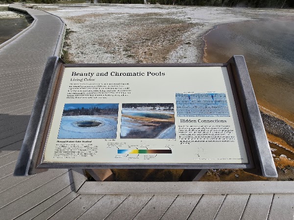 Grand Prismatic Spring Overlook 4