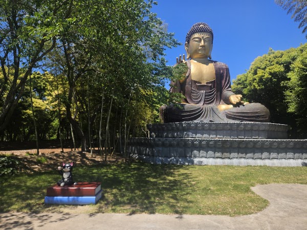 돌코리숲 3