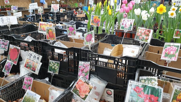 Yangjae Flower Market 3