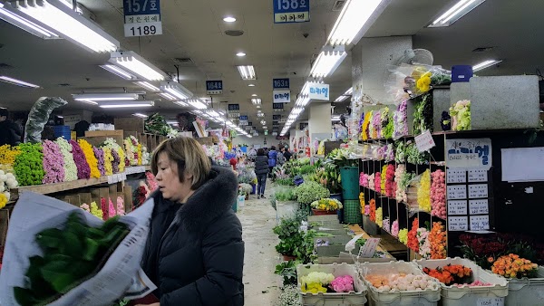 Yangjae Flower Market 2