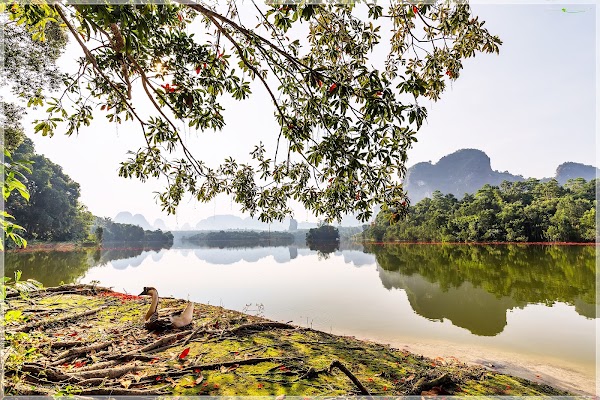 Nong Thale 5