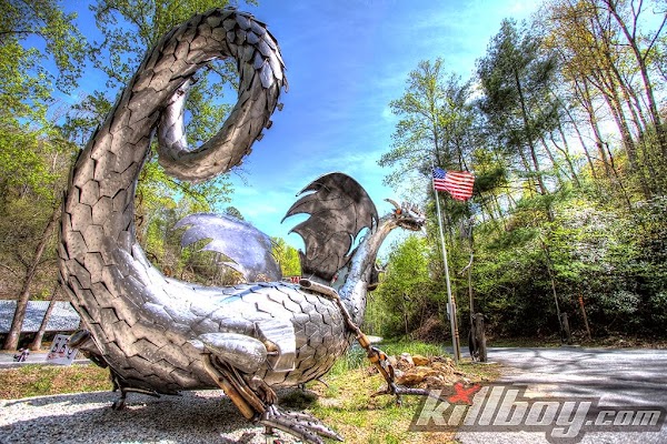Tail of the Dragon 1