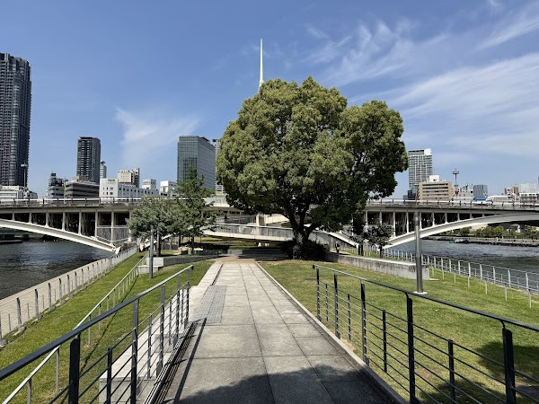 Nakanoshima Rose Garden 3