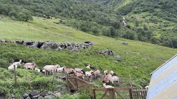 Skjerdal Kafe 2