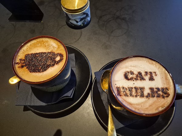 Java Whiskers Cat Café Marylebone 2