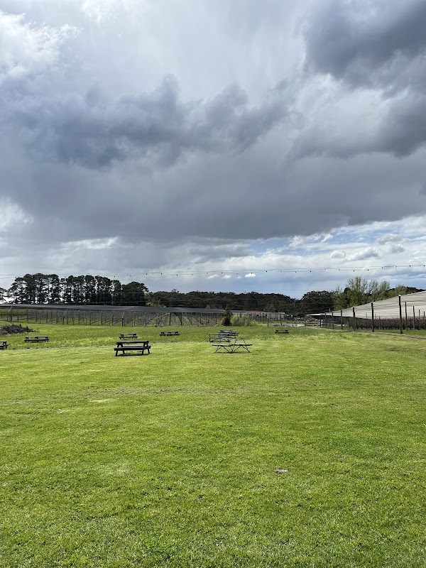 Glenbernie Orchard 4