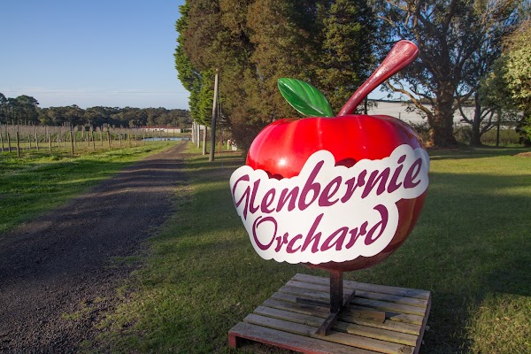 Glenbernie Orchard 2