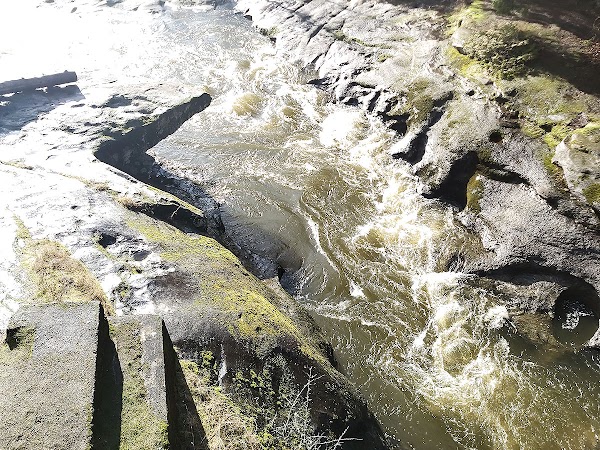 Englishman River