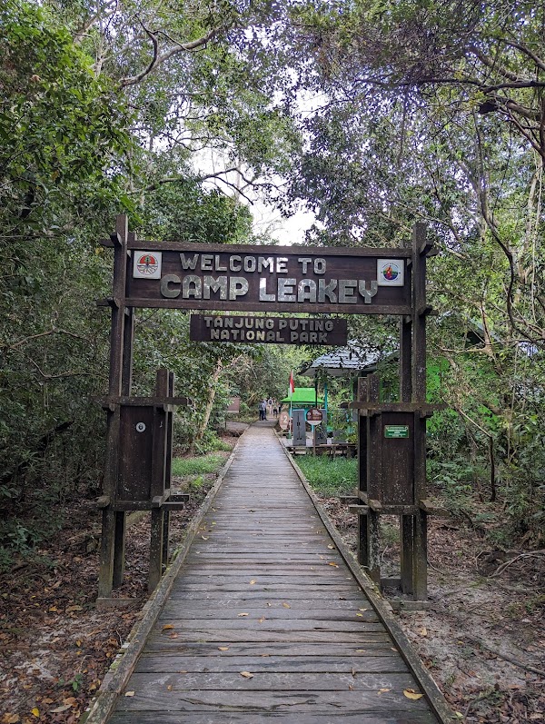 Taman Nasional Tanjung Puting 4
