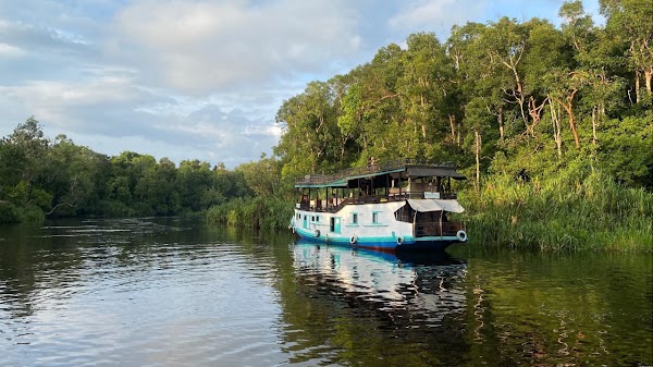 Taman Nasional Tanjung Puting 3