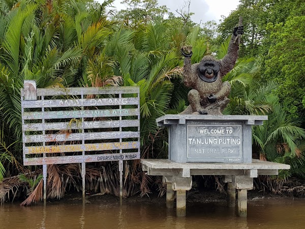 Taman Nasional Tanjung Puting 2