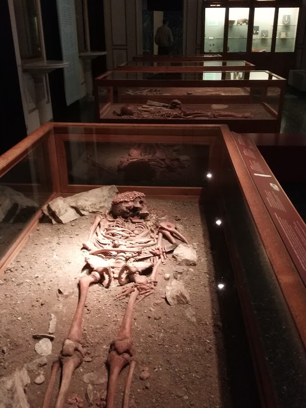 Museo di Archeologia Ligure 4