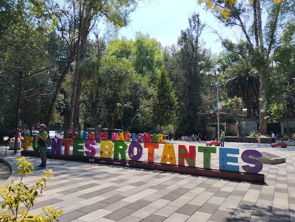 Fuentes Brotantes National Park 4