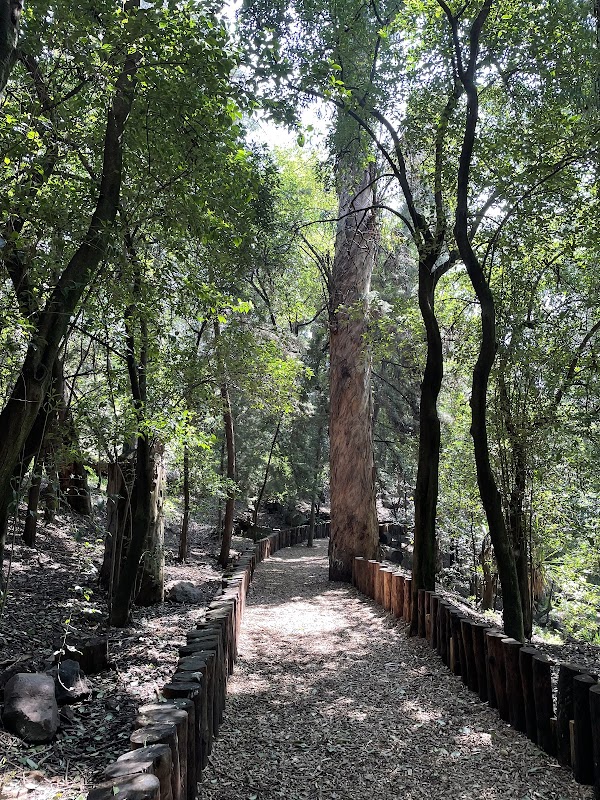 Fuentes Brotantes National Park 3