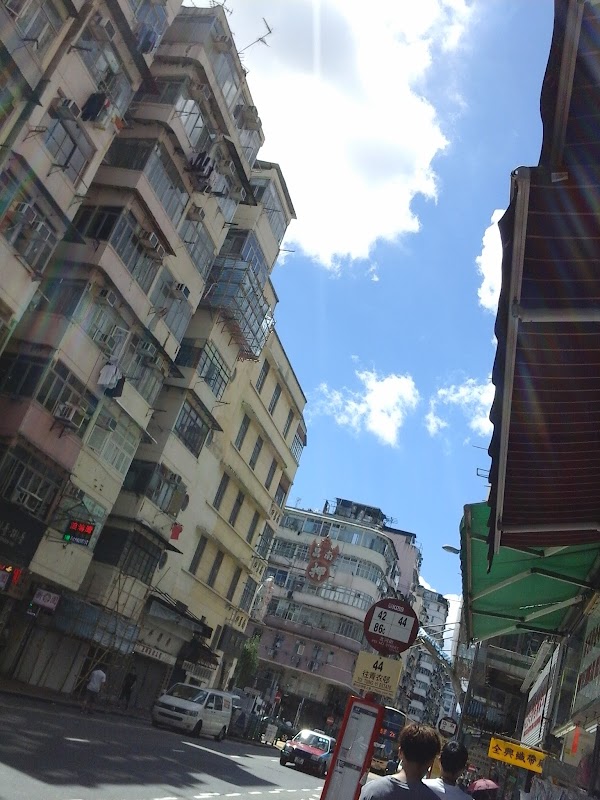 King's Road 5