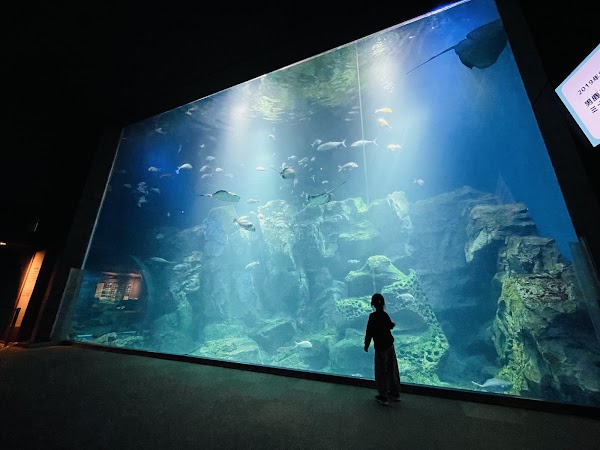 Oga Aquarium GAO