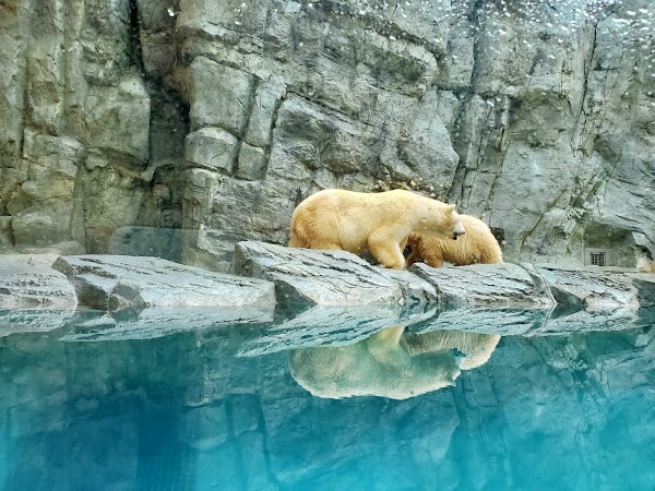 Oga Aquarium GAO 4