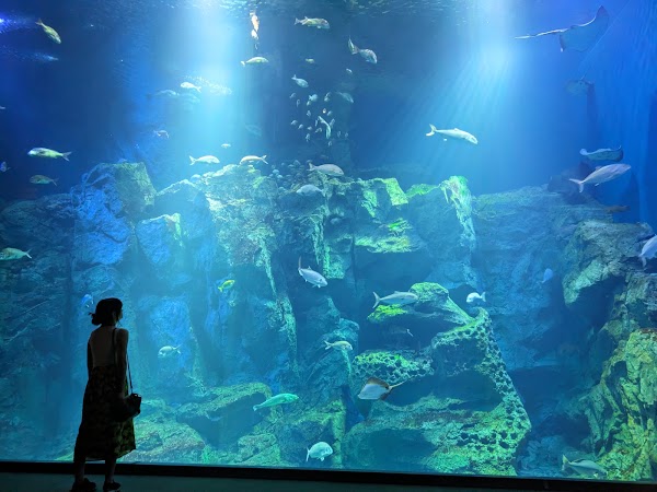 Oga Aquarium GAO 2