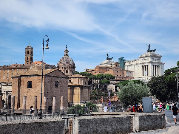 Curia Julia 5