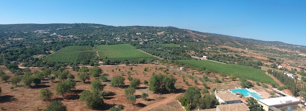 Quinta da Tôr