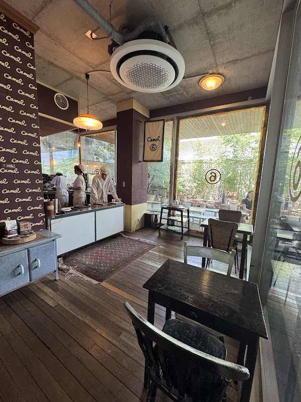 Camel Coffee 2