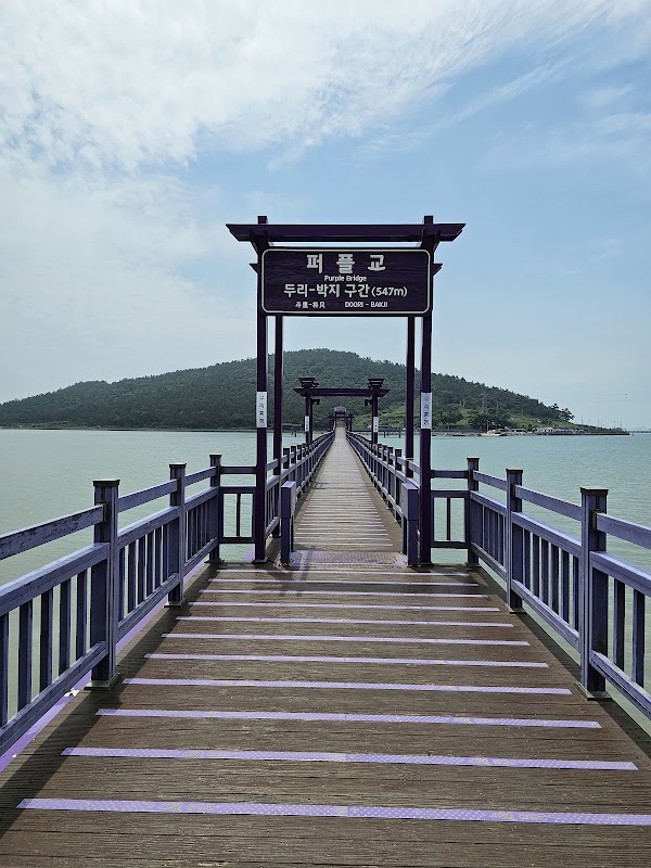 Purple Island 반월카페 4