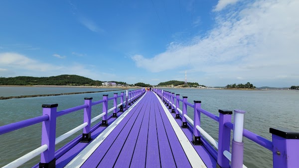 Purple Island 반월카페 3