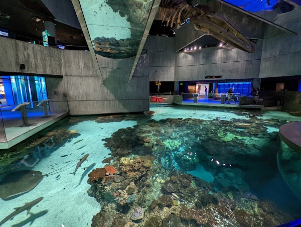 National Aquarium 5