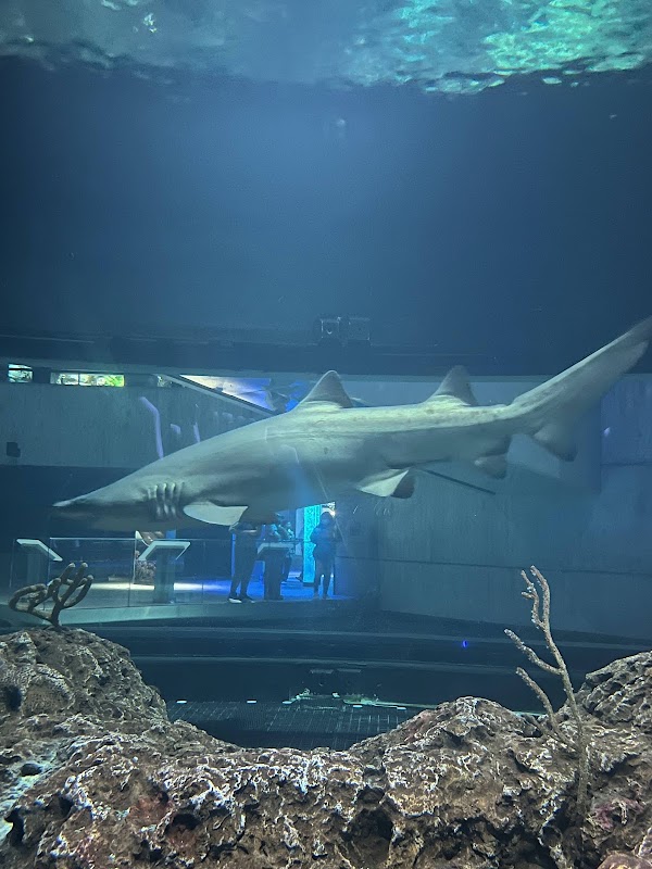 National Aquarium 4