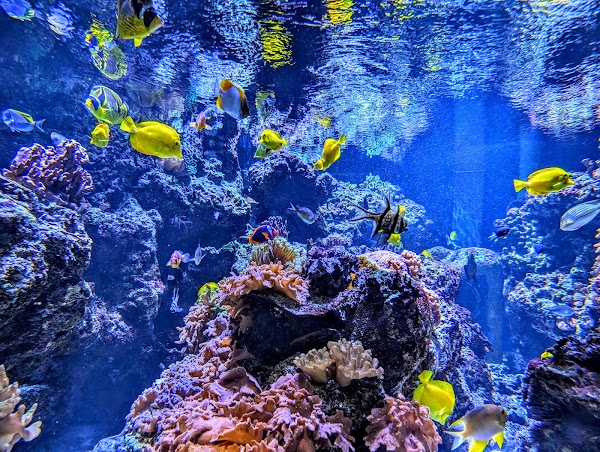 National Aquarium 3