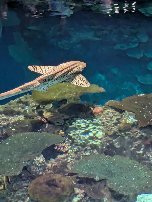 National Aquarium 2