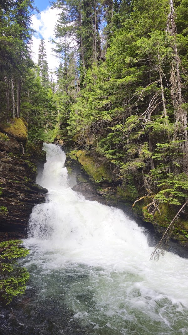 Sticta Falls and Dragon's Tongue Trail 1