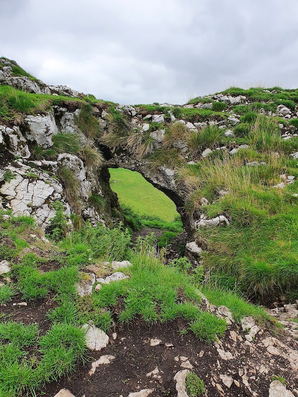 Chrome Hill 5