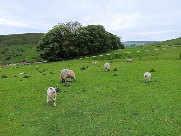 Chrome Hill 4