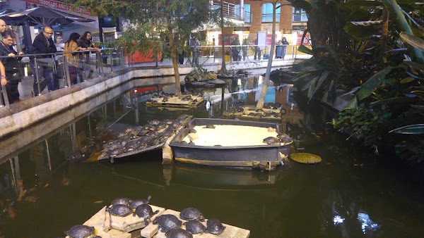 Atocha 4