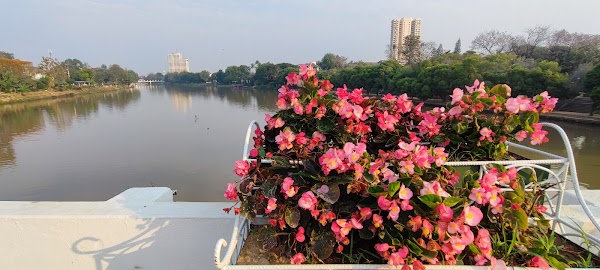 Chiang Mai 3