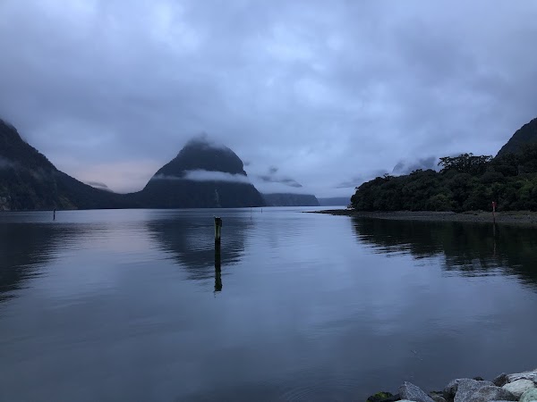 Milford Sound Foreshore Walk 3