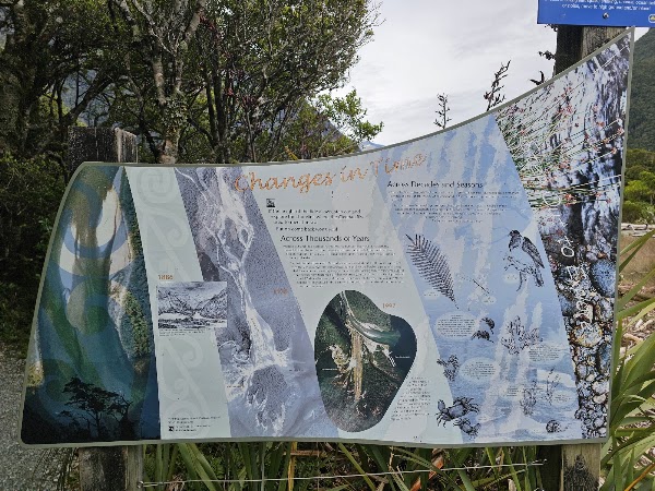 Milford Sound Foreshore Walk 2