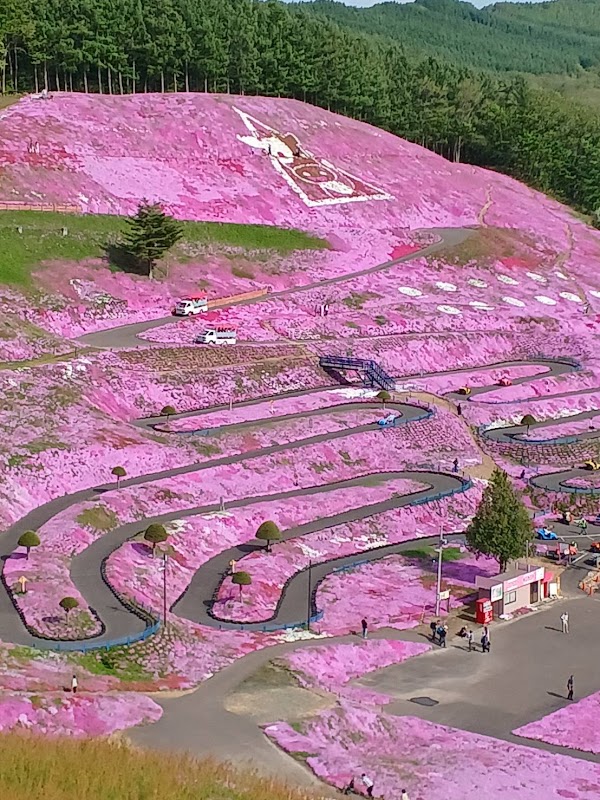 Higashimokoto Shibazakura Park