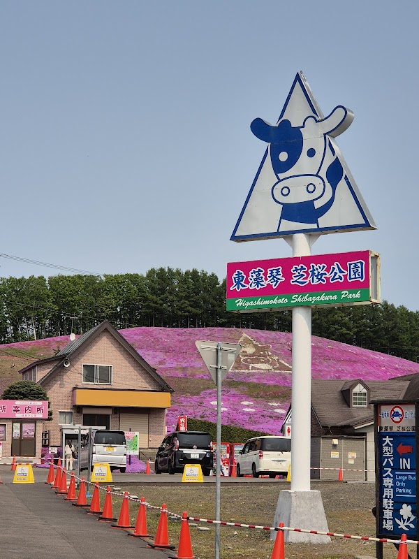 Higashimokoto Shibazakura Park 5