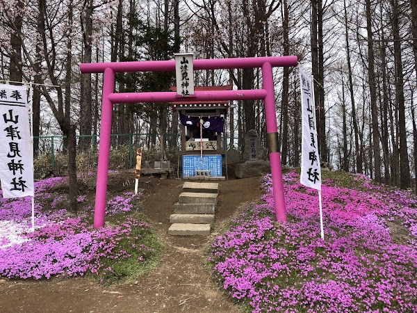 Higashimokoto Shibazakura Park 4