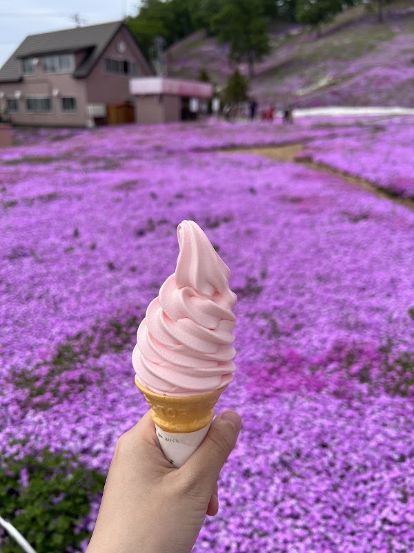 Higashimokoto Shibazakura Park 3
