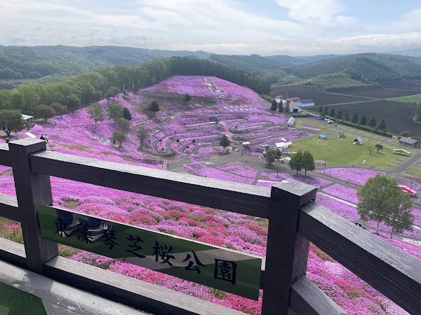 Higashimokoto Shibazakura Park 2