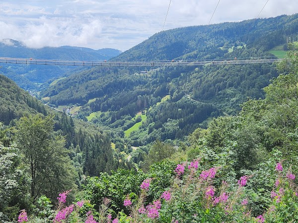 Todtnau Waterfall 3