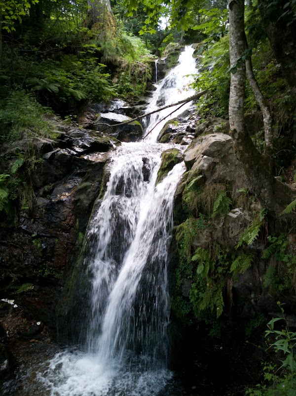 Todtnau Waterfall 2