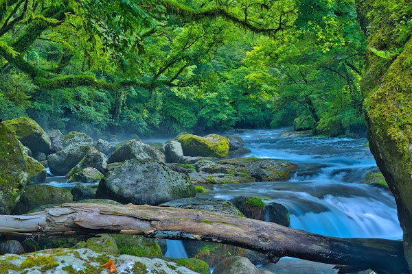 Kikuchi Gorge 3