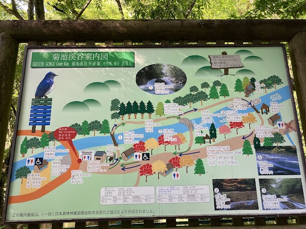 Kikuchi Gorge 2